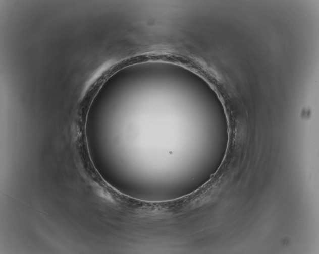 X0000096991400200802151342