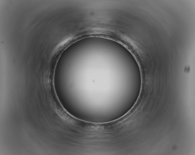 X0000096991403200802151342