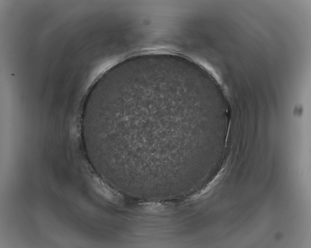 X0000096991405200802151342