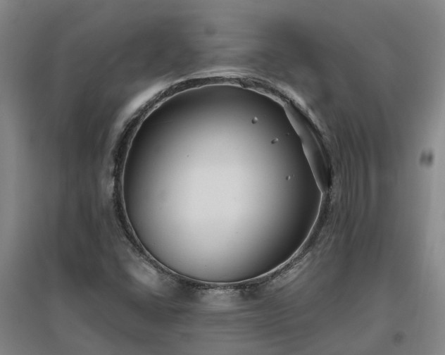 X0000096991406200802151342