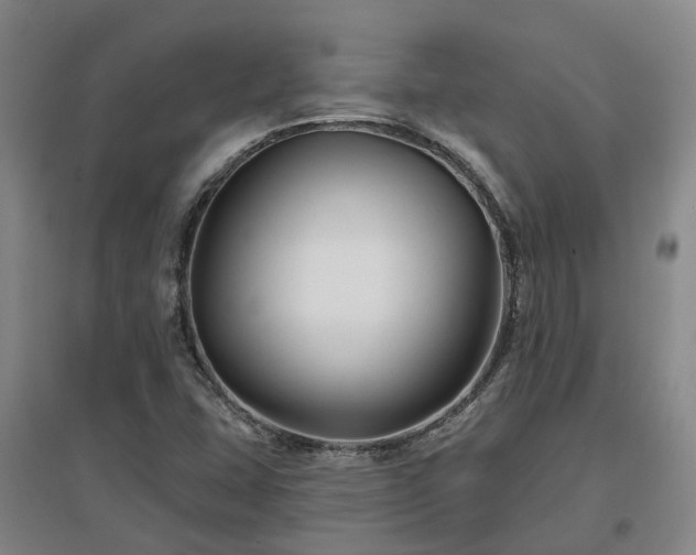 X0000096991407200802151342