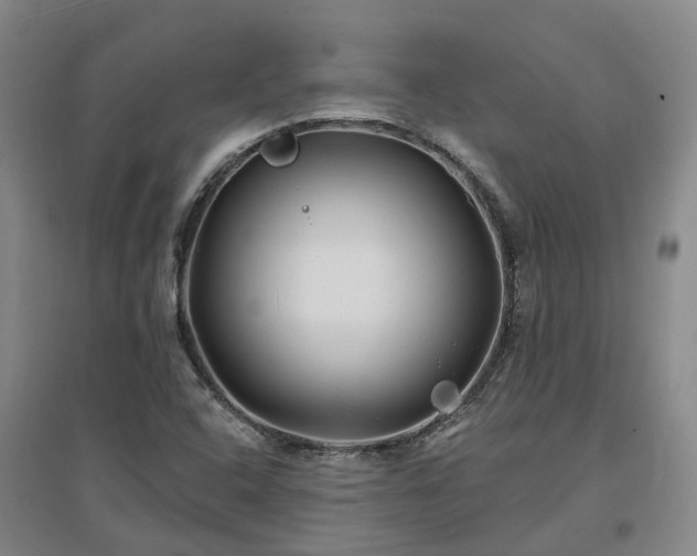 X0000096991408200802151342