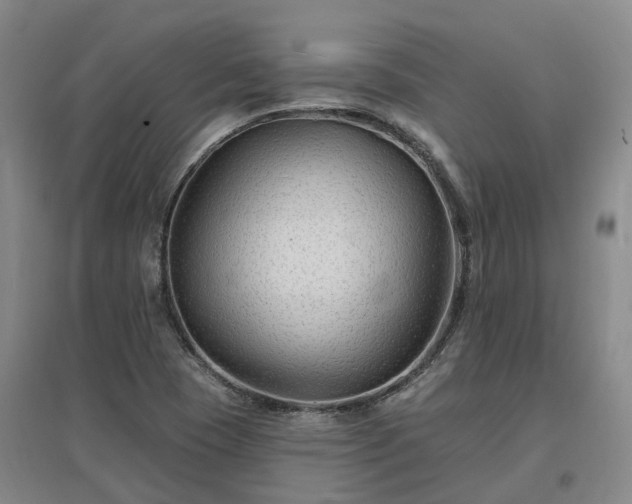 X0000096991409200802151342