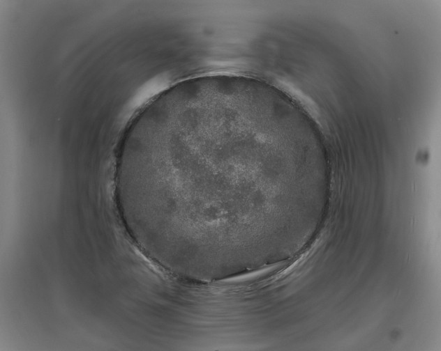 X0000096991411200802151342