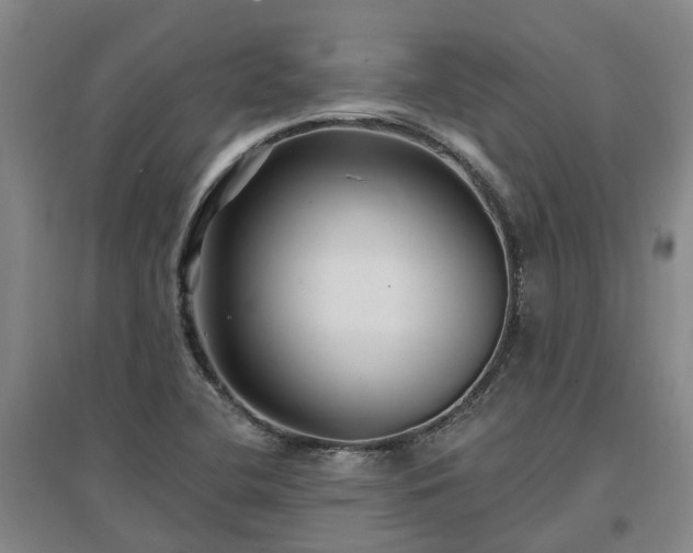 X0000096991412200802151342