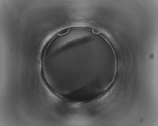 X0000096991414200802151342