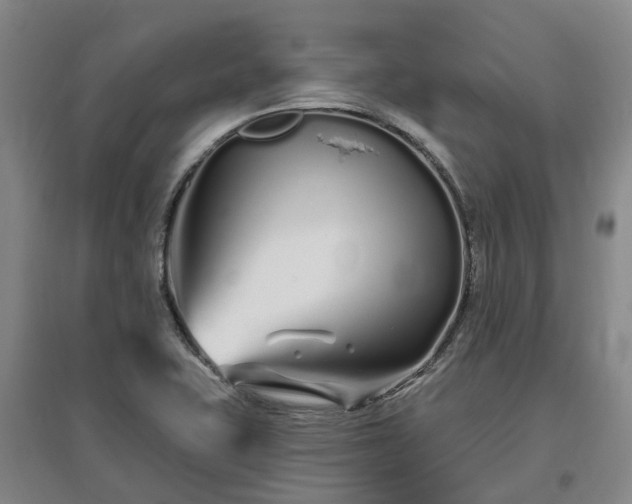 X0000096991415200802151342