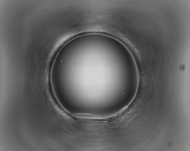 X0000096991416200802151342