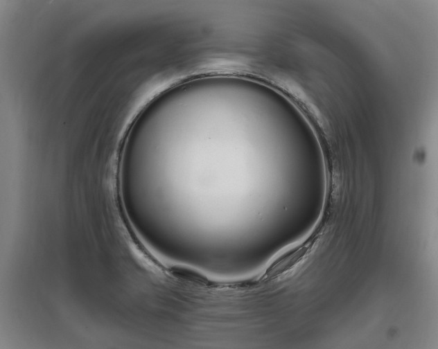 X0000096991421200802151342
