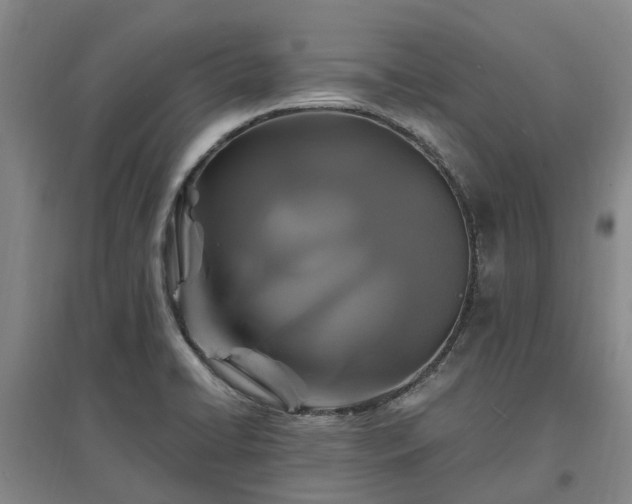 X0000096991422200802151342