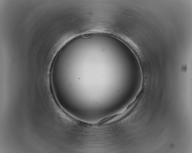 X0000096991423200802151342