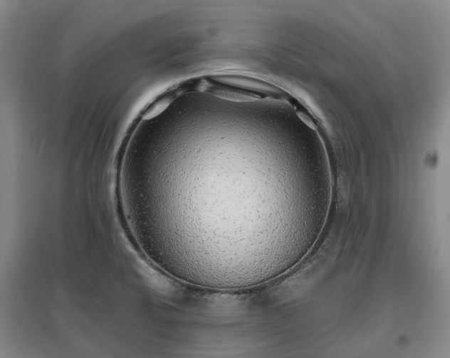 X0000096991424200802151342