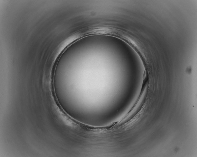 X0000096991426200802151342