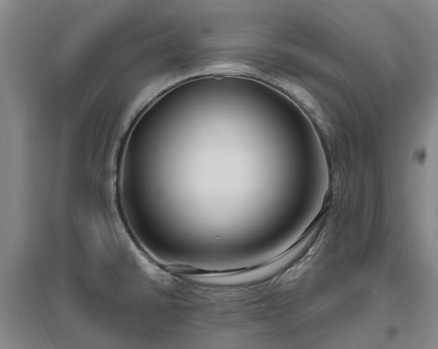 X0000096991430200802151342