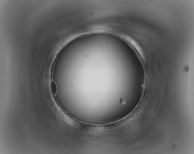 X0000096991431200802151342