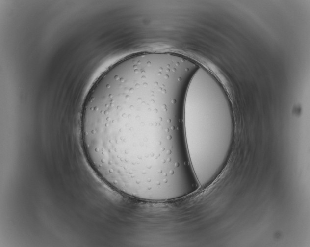 X0000096991432200802151342