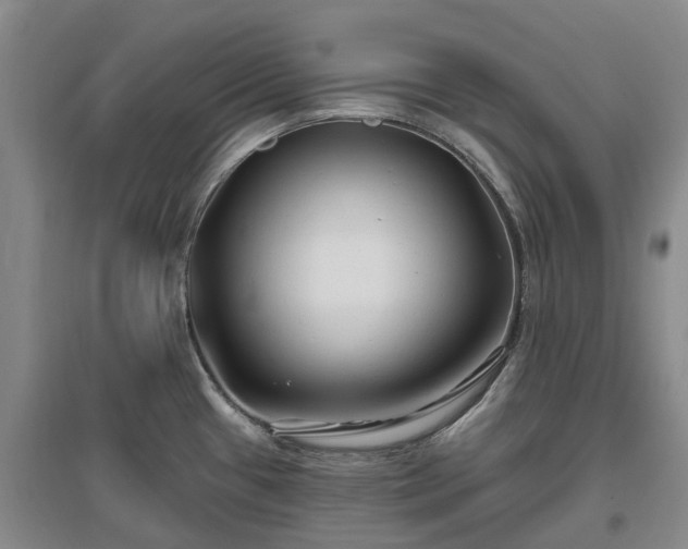X0000096991433200802151342