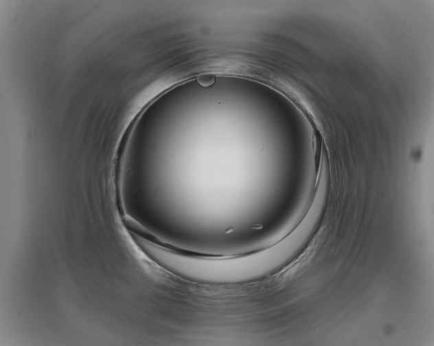 X0000096991434200802151343