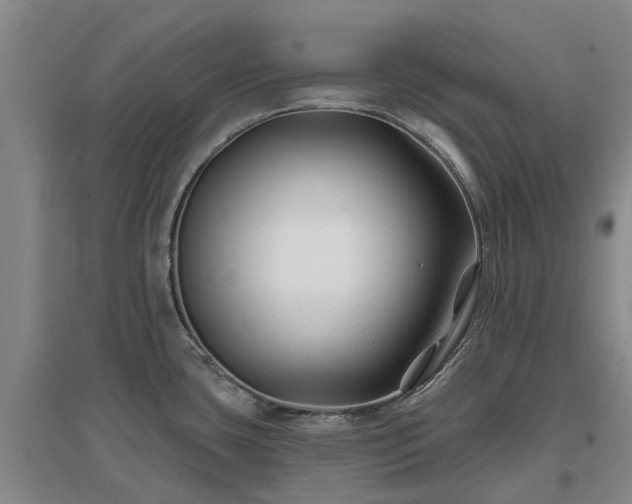 X0000096991435200802151343