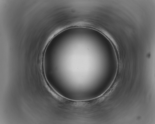 X0000096991437200802151343
