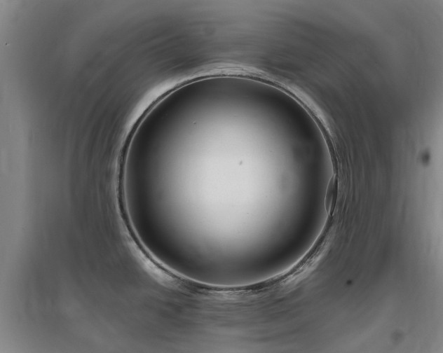 X0000096991438200802151343