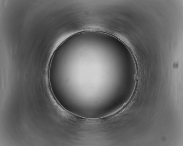 X0000096991440200802151343