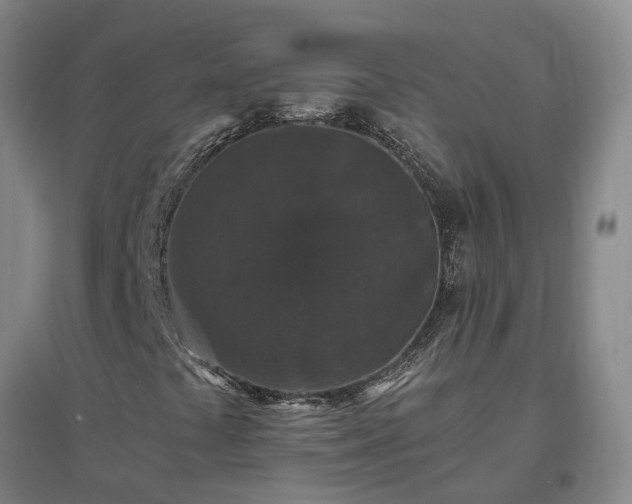 X0000096991441200802151342
