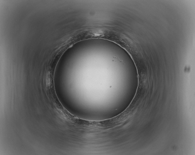X0000096991442200802151342
