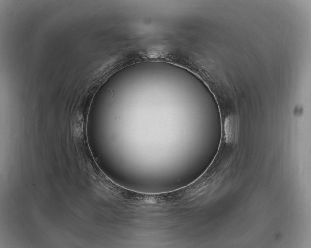 X0000096991443200802151342