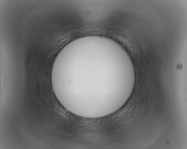 X0000096991444200802151342