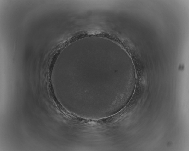 X0000096991445200802151342