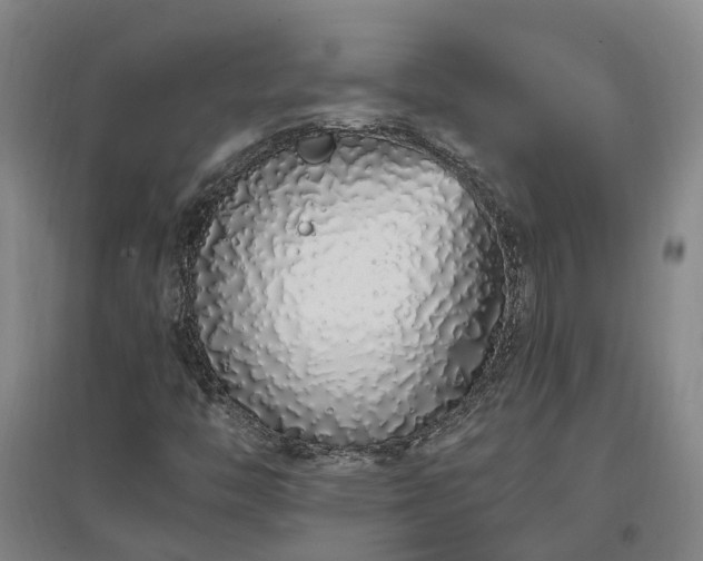 X0000096991446200802151342