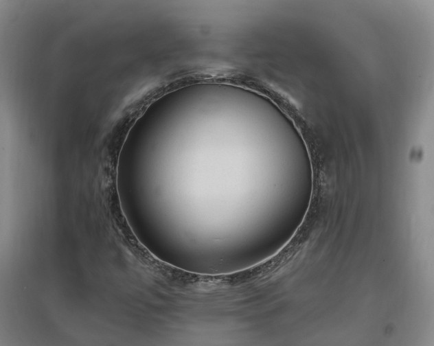 X0000096991447200802151342