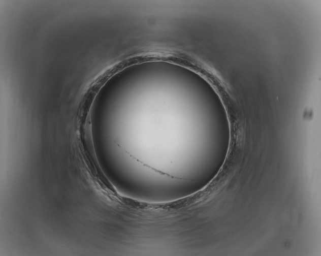 X0000096991448200802151342
