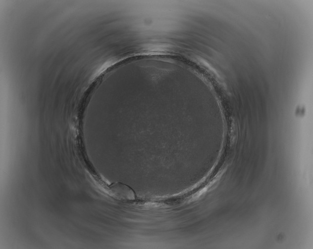 X0000096991449200802151342
