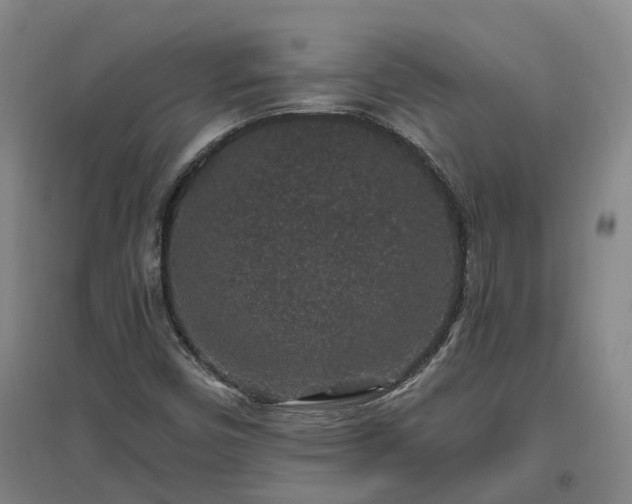 X0000096991450200802151342