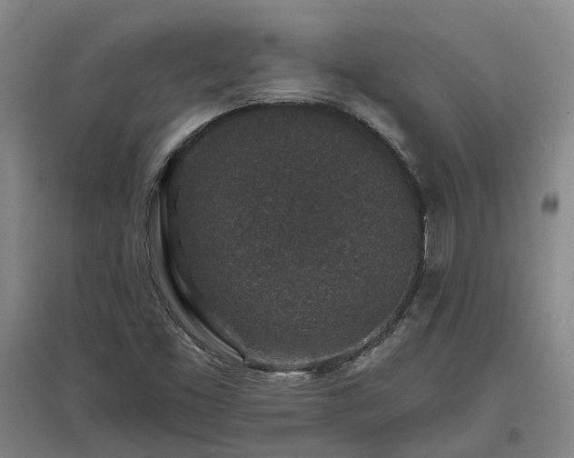 X0000096991453200802151342
