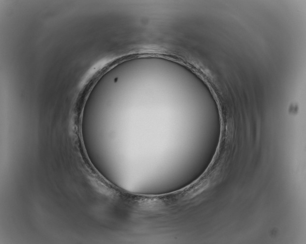 X0000096991454200802151342
