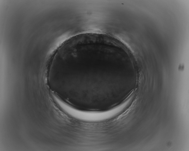 X0000096991455200802151342