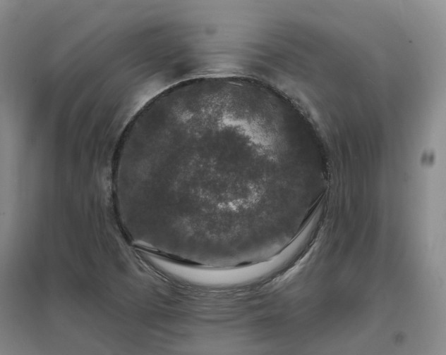 X0000096991457200802151342