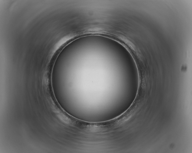 X0000096991458200802151342
