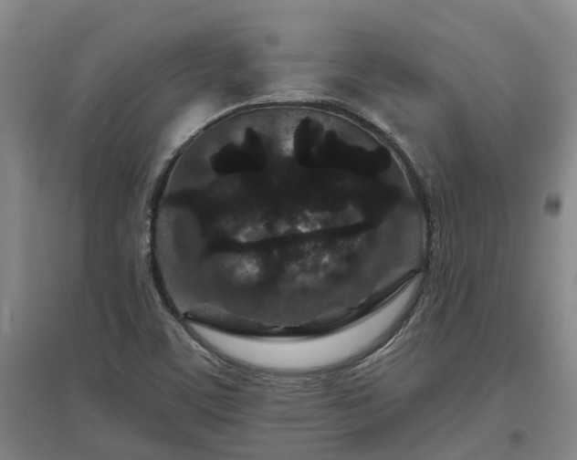 X0000096991459200802151342