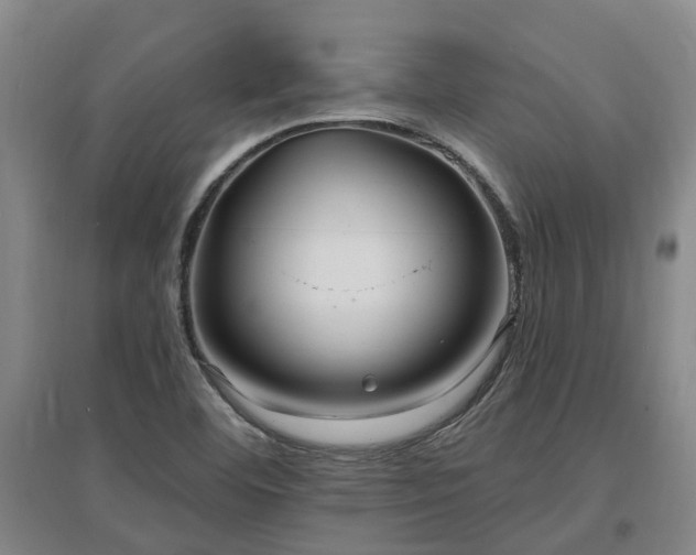 X0000096991460200802151342