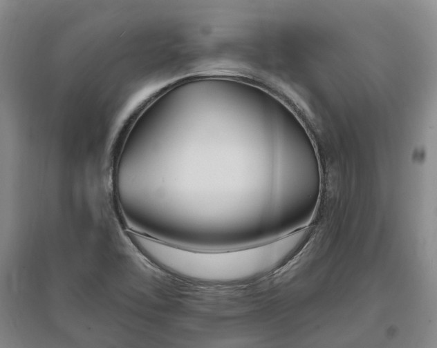 X0000096991462200802151342