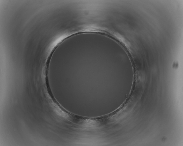 X0000096991463200802151342