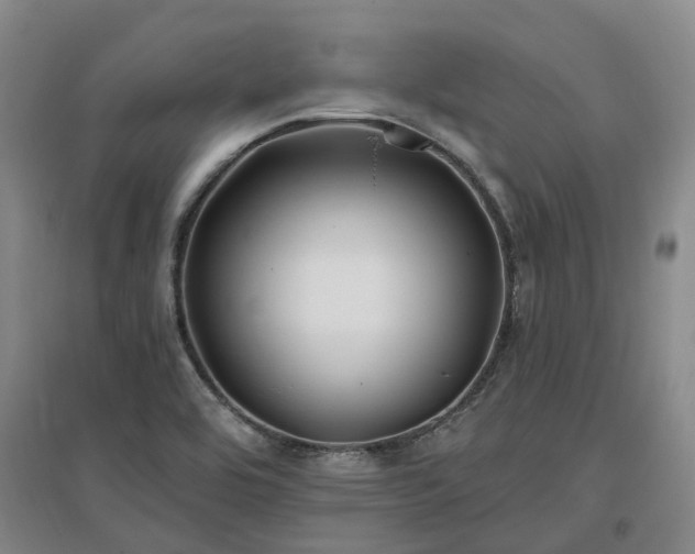 X0000096991464200802151342