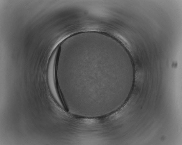 X0000096991465200802151342