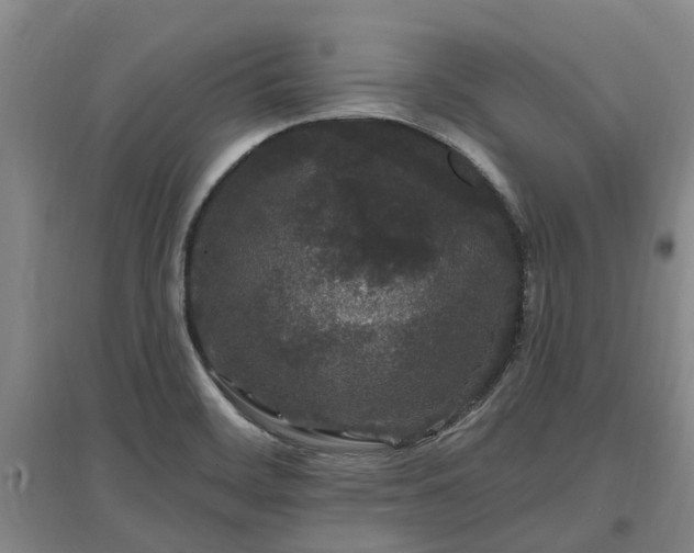 X0000096991468200802151342