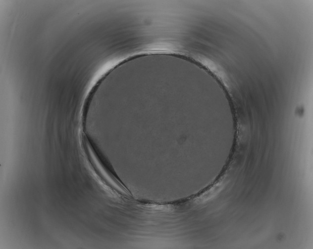 X0000096991469200802151342