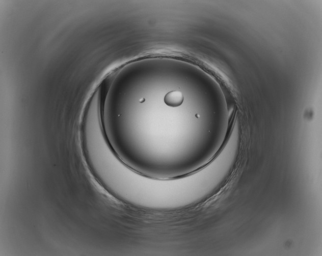 X0000096991471200802151342
